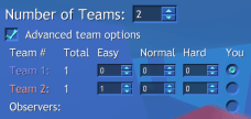 Advanced Team Setup options